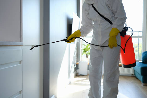 Best Toxic Mold Removal  in Lebanon South, PA