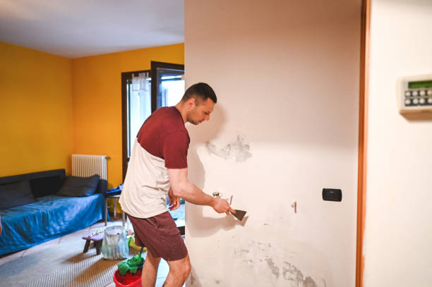 Best Fast Mold Removal  in Lebanon South, PA